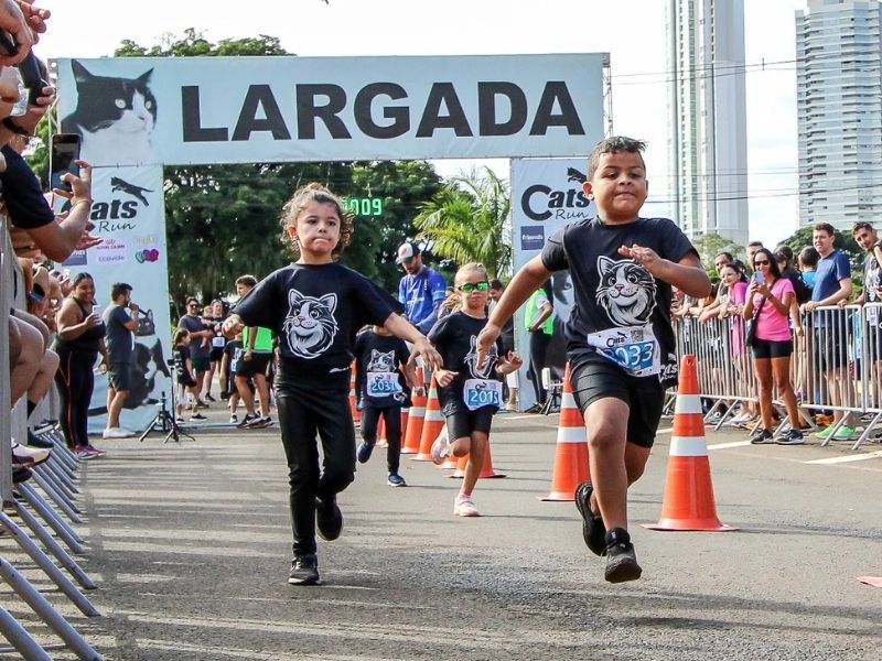Cats Run 2025 reúne mil participantes na Praia da Enseada em celebração ao amor pelos felinos