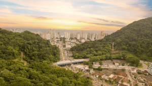 Participe do plano de arborização de Guarujá